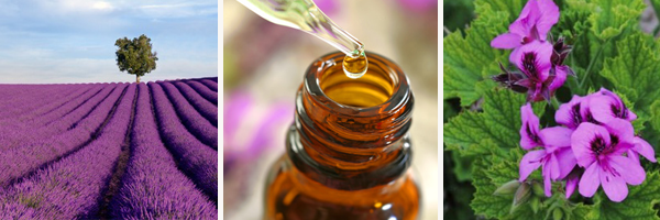huiles essentielles été